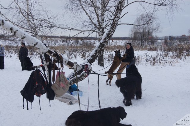 Фотография № 113092