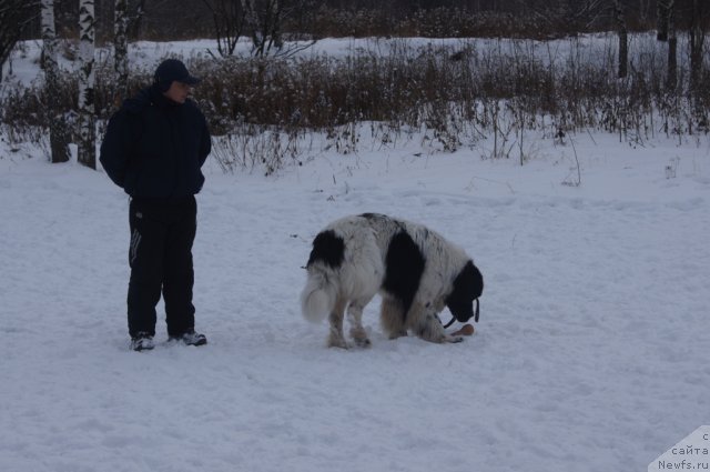 Фотография № 113094