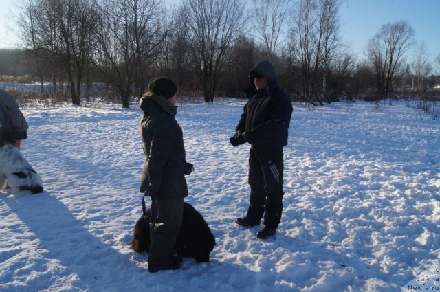 Фотография № 113100