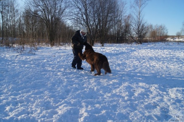 Фотография № 113101