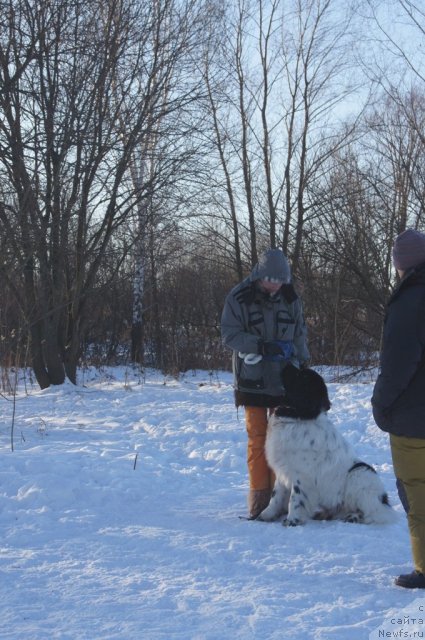 Фотография № 113109