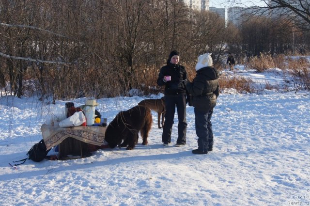 Фотография № 113110