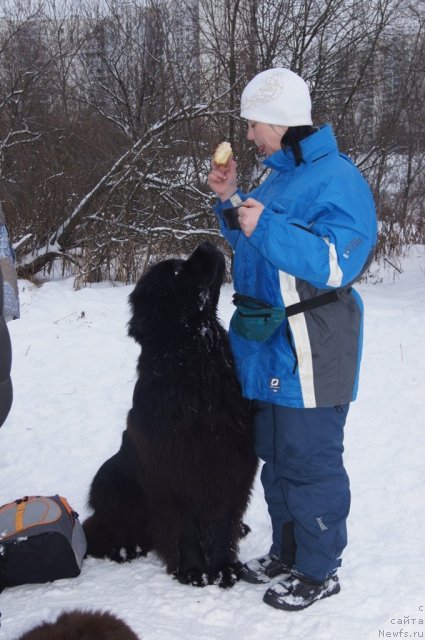 Фотография № 113113