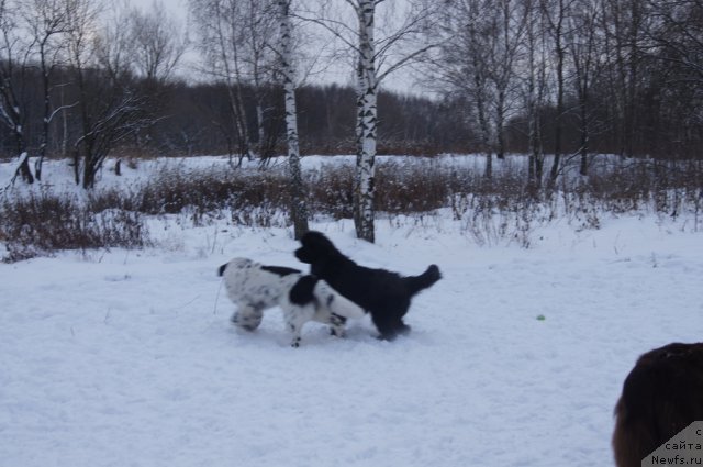 Фотография № 113114