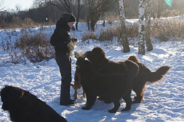 Фотография № 113119