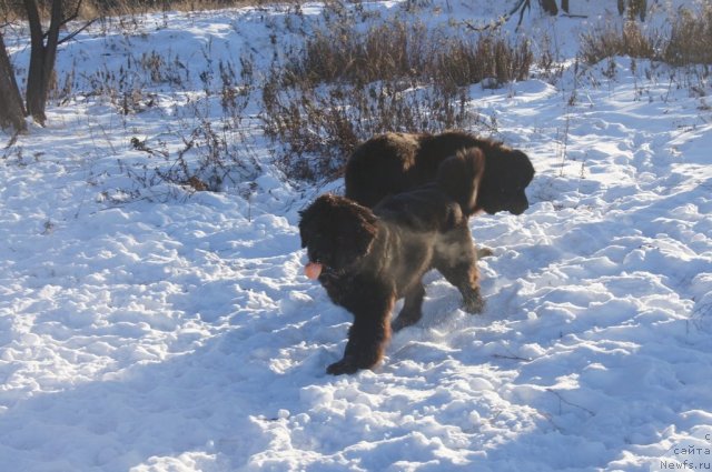 Фотография № 113123