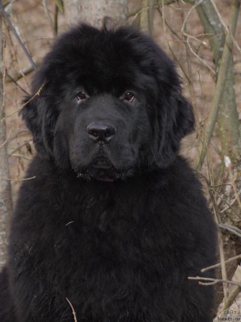 Фотография № 11316