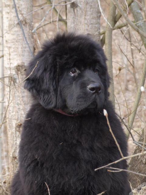 Фотография № 11317