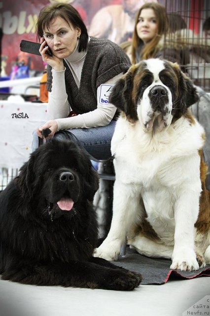 Фотография № 113187