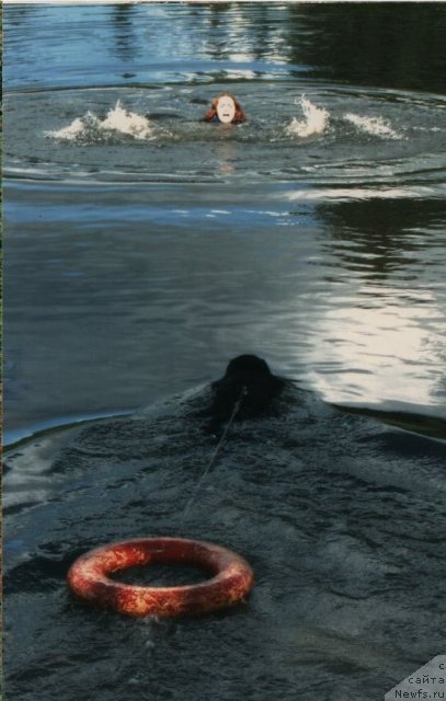 Фото: ньюфаундленд Виват Вялiкi Мядзведзь (Vivat Vialiki Miadzvedz), Ксения Семикова