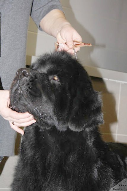 Фотография № 113252