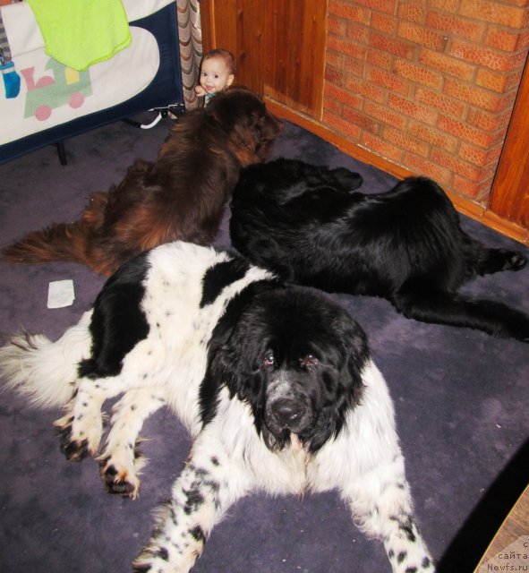 Фотография № 113288