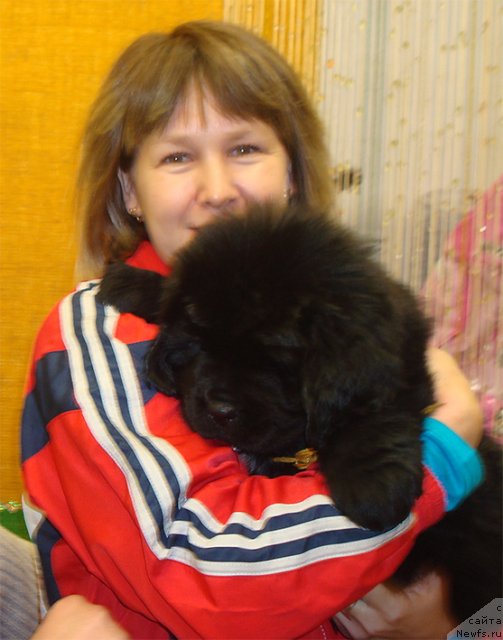 Фотография № 113298