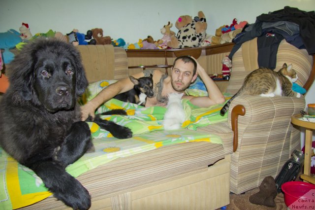 Фото: Андрей Волков