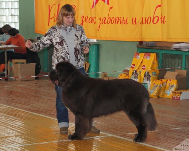 Фотография № 113334