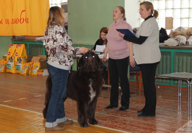 Фотография № 113335