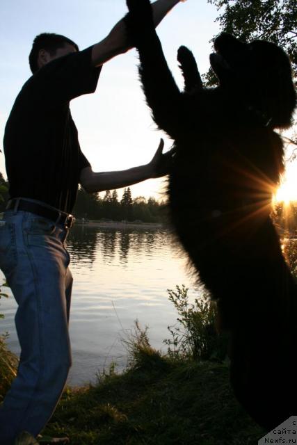 Фотография № 11336