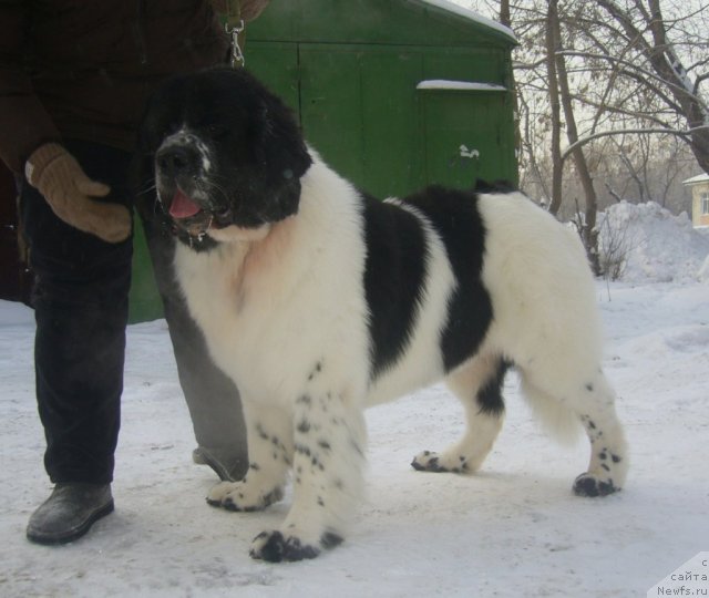 Фотография № 113360