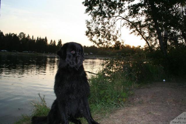 Фотография № 11337