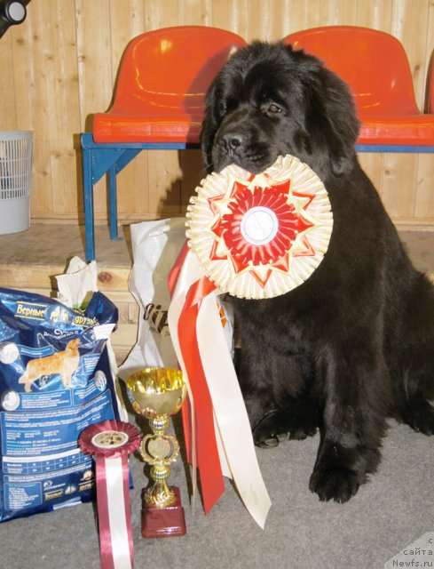 Фотография № 113375