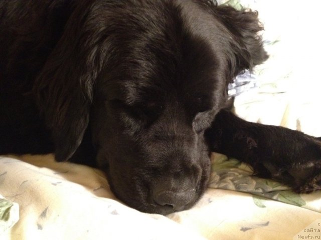 Фотография № 113383