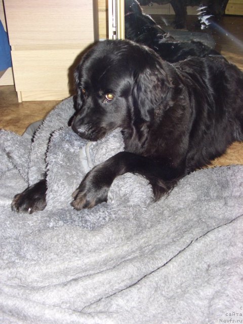 Фотография № 113384