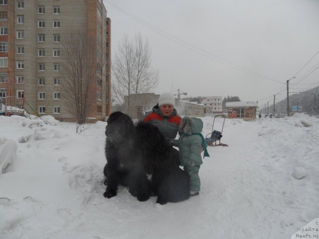 Фотография № 113387