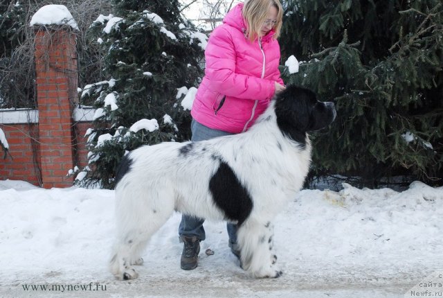 Фотография № 113392