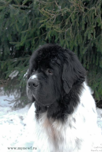 Фотография № 113395