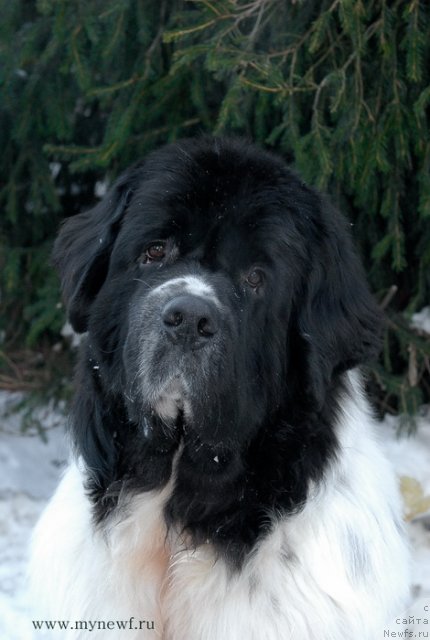 Фотография № 113396