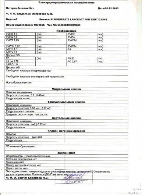 Фото: ньюфаундленд Kloofbears Lancelot for Sent Djons