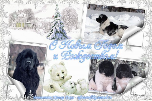 Фотография № 113484