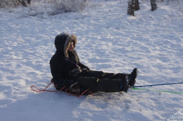 Фото: Александра Фетисова