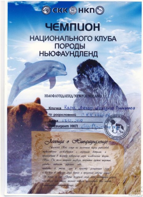 Фотография № 113568