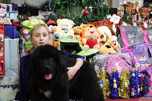 Фотография № 113579