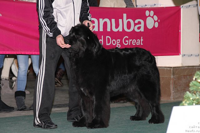 Фотография № 113580