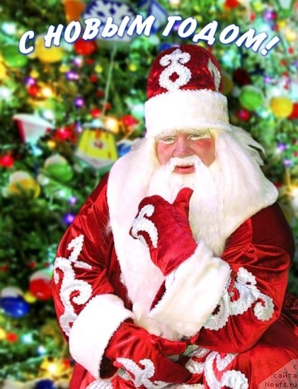 Фотография № 113593