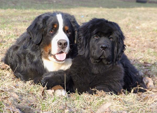 Фотография № 11362