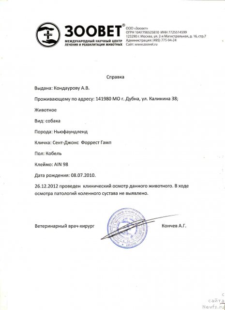 Фотография № 113668