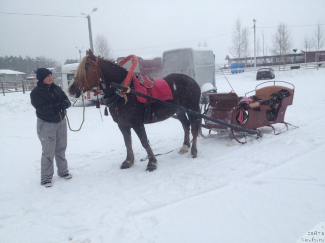 Фото: Мария Шигаль