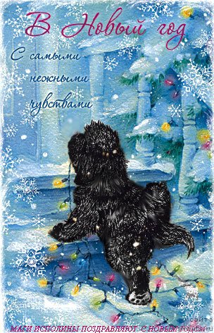 Фотография № 113684