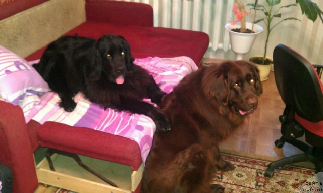 Фото: Юрий Якубовский