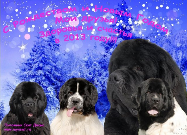 Фотография № 113688