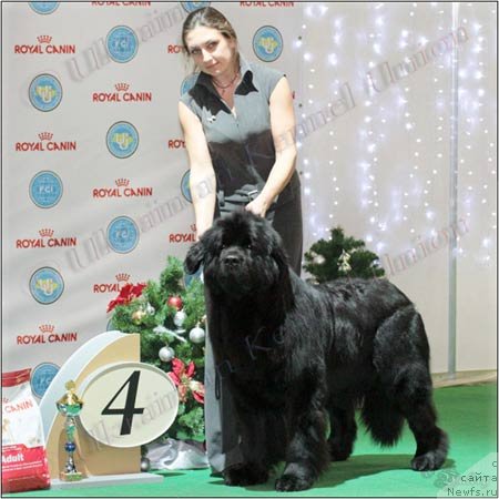 Фотография № 113701