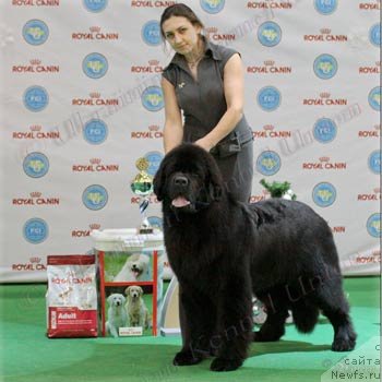 Фотография № 113702