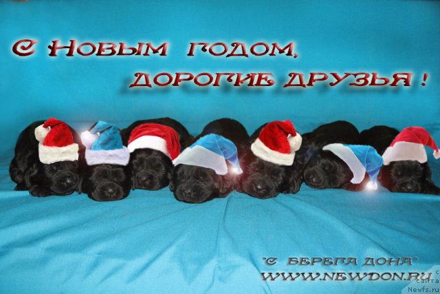 Фотография № 113751