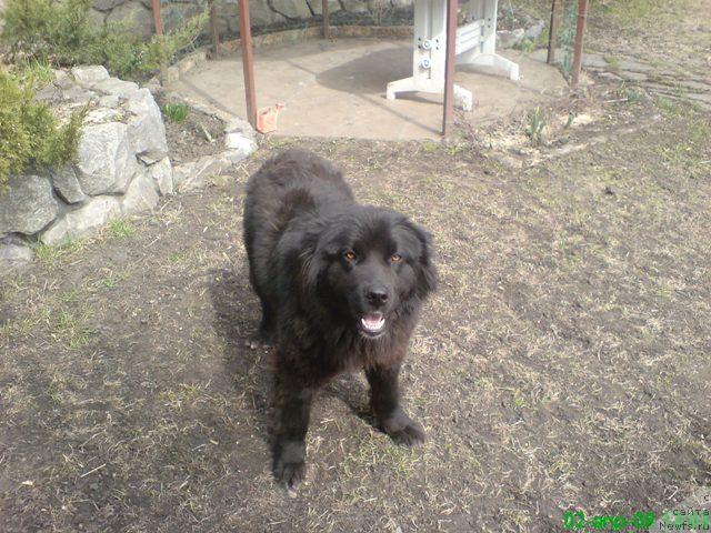 Фото: Сергей Пучков