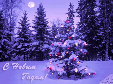 Фотография № 113782