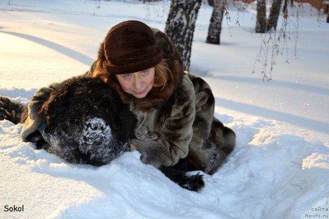 Фотография № 113788