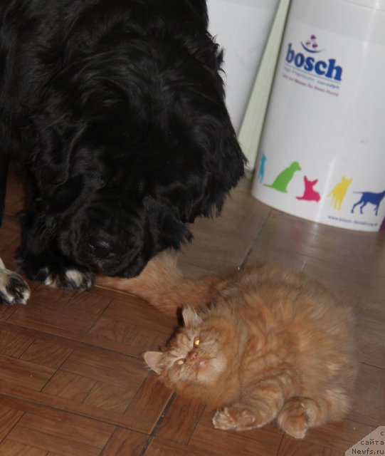 Фотография № 113802